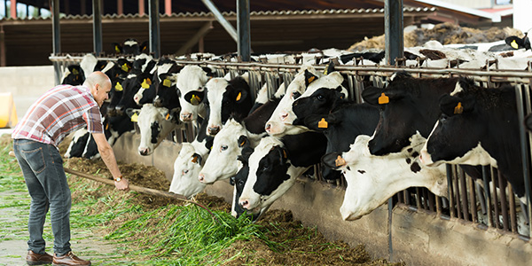 QualiTru's applications for dairy farms