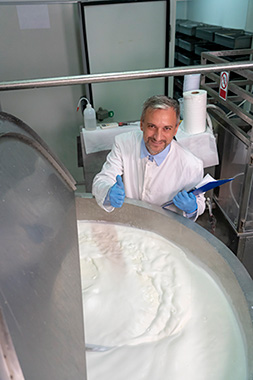 Fluid milk pasteurization in dairy plants