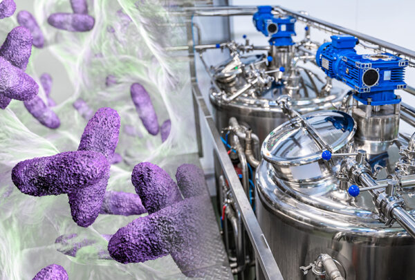 Biofilms in the Dairy Processing Industry