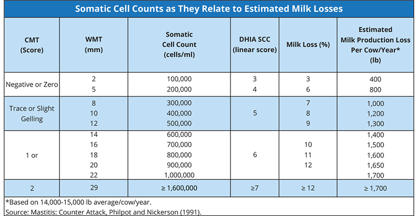 SCC and Milk Loss