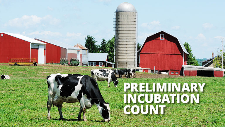 Using Preliminary Incubation Count for Measuring Raw Milk Quality