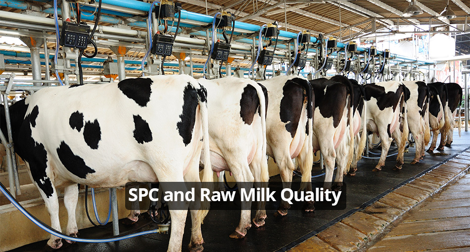 Standard Plate Count and raw milk quality