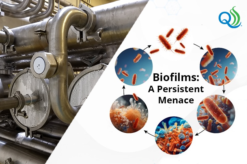 Whey Processing - Biofilms the Silent Sabotage