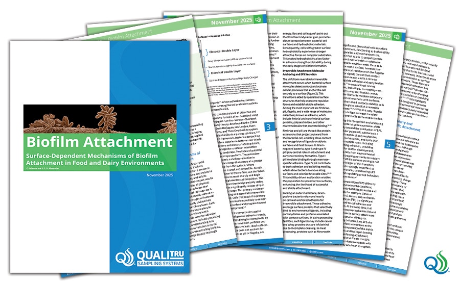 Biofilm Attachment White Paper th