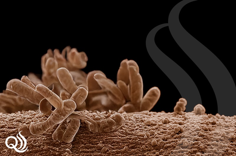 Proactive Biofilm Surveillance Post Image