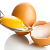 Beverages & Liquid Processing - Eggs