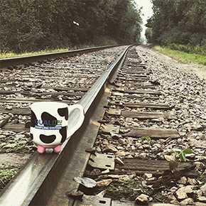 Moo-Mug-Train-Track