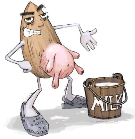 almond milk is not milk