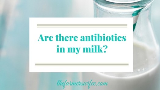 are antibiotics in my milk