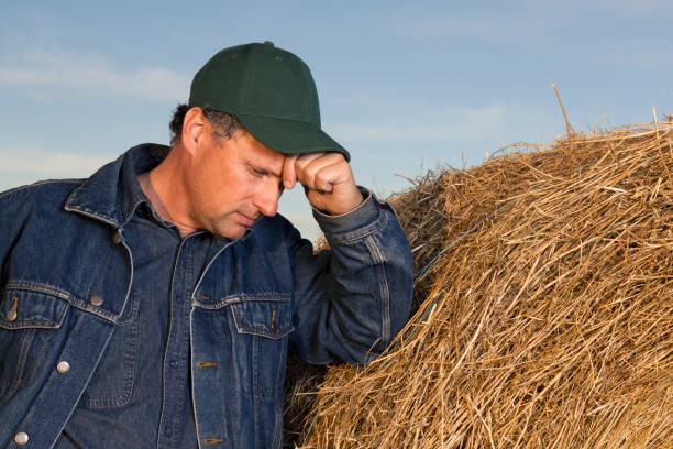 suicide prevention dairy industry